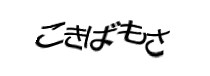 認証画像